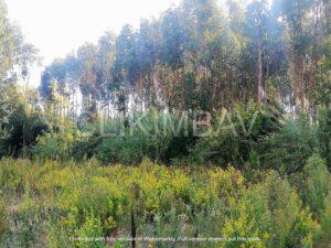 terreno-serra-do-bouro-clikimbav-venda