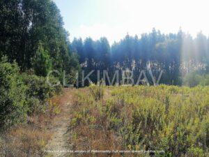 terreno-serra-do-bouro-clikimbav-venda